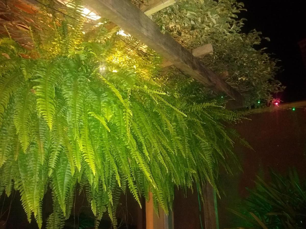 Sintonia Do Mar Homestay
