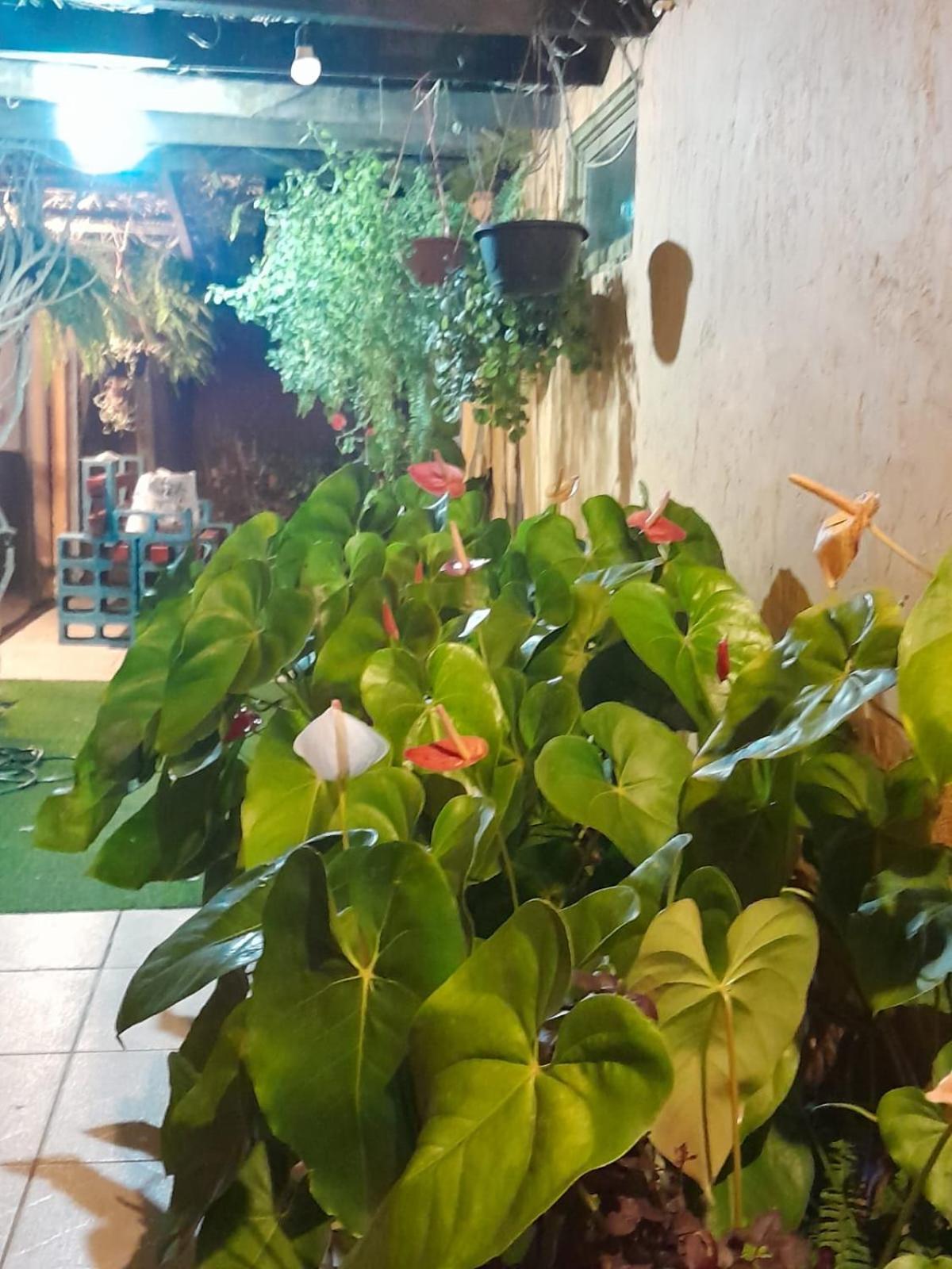 Sintonia Do Mar Homestay *