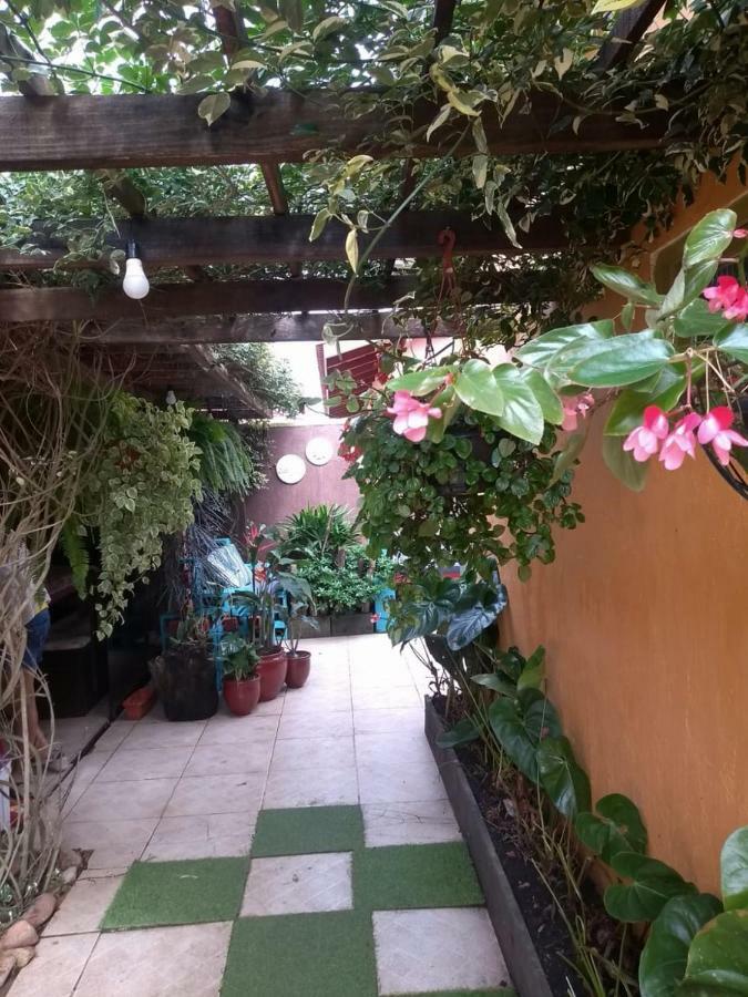 Sintonia Do Mar Homestay *